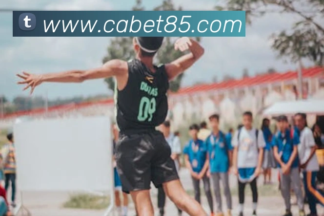 ca亚洲城APP 封面图